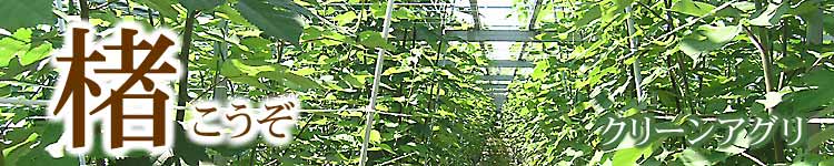 楮（こうぞ）のクリーンアグリのトップ画像