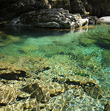 奇跡の清流・仁淀川
