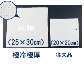 サイズ比較：25cm×30cmの超大判サイズ