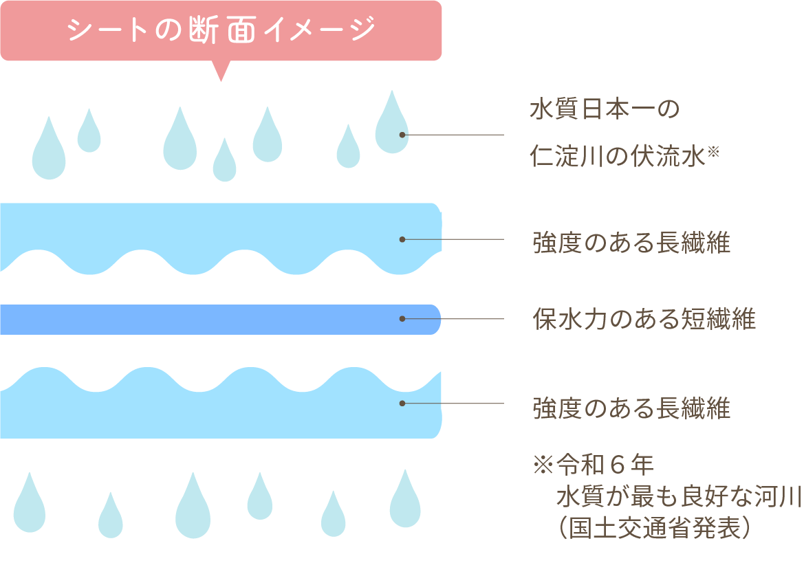 シートの断面イメージ